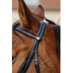 Addestramento Bridon Norton Nero