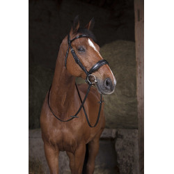 Redini filetto Norton 16 mm Nero