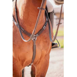 Martin collier Penelope Avana Marrone