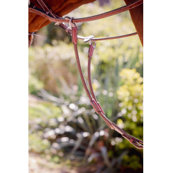 Freccia di martingala Pénélope Bip Light US elastica Nocciola Marrone