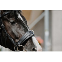 Cavezzone largo Norton Nero Cavezzone largo Norton Nero