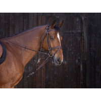 Gogue a carrucole Riding World Avana Marrone