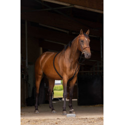 Redine Norton estensore morbido Nero