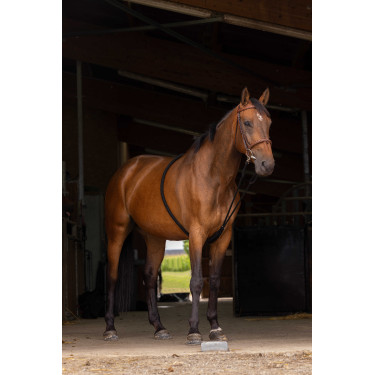 Redine Norton estensore morbido Nero