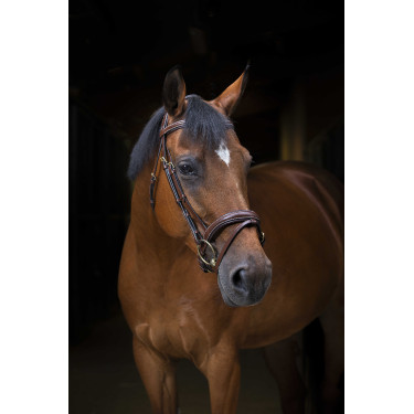 Bridon Eric Thomas Pro Wave Avana Marrone Bridon Eric Thomas Pro Wave Avana Marrone