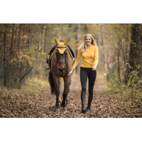 Cuffia antimosche Lami-Cell LC Miele / dorato Giallo Cuffia antimosche Lami-Cell LC Miele / dorato Giallo