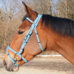 Trensenzaum Biotack® T de T Azzurro chiaro Blu Trensenzaum Biotack® T de T Azzurro chiaro Blu