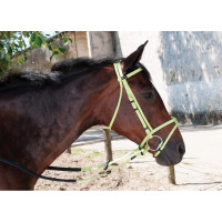 Trensenzaum Biotack® T de T Azzurro chiaro Blu