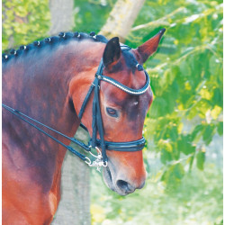 Briglia da dressage in cuoio Cézanne T de T Briglia da dressage in cuoio Cézanne T de T