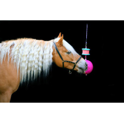 Supporto per pietra di sale Boredom breaker Likit Fucsia