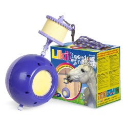 Supporto per pietra di sale Boredom breaker Likit Viola