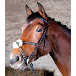 Bridon Kessel T de T têtière triple muserolle croisée Noir Bridon Kessel T de T têtière triple muserolle croisée Noir