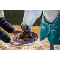 Tappetino da leccare Likit Graze Maze Viola