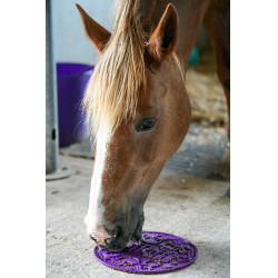 Tappetino da leccare Likit Graze Maze Viola