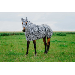 Cuffia anti-eczema Riding World Zebra nero / bianco Motivi