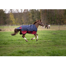 Coperta Equithème Tyrex 1200 D Marino / bordeaux Blu