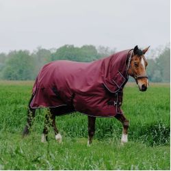Coperta Equithème TYREX 1200D Combo Bordeaux