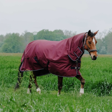 Coperta Equithème TYREX 1200D Combo Bordeaux