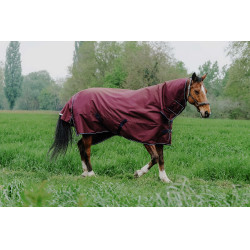Coperta Equithème TYREX 1200D Combo Bordeaux Coperta Equithème TYREX 1200D Combo Bordeaux