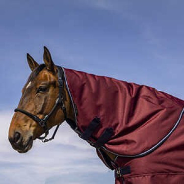 Copricollo Equithème Tyrex 1200D Copricollo Equithème Tyrex 1200D