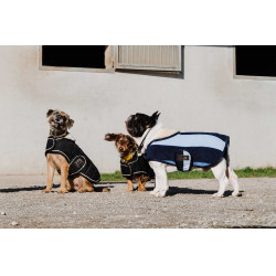 Coperta per cane Equithème New Market Marina Blu marino Coperta per cane Equithème New Market Marina Blu marino