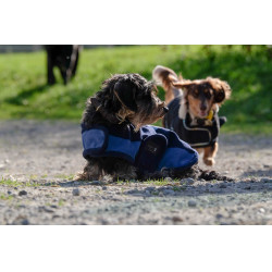 Coperta per cane Equithème New Market Marina Blu marino Coperta per cane Equithème New Market Marina Blu marino