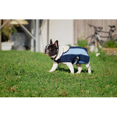 Coperta per cane Equithème New Market Coperta per cane Equithème New Market