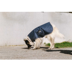 Coperta per cane Equithème TYREX 600D Blu / grigio Coperta per cane Equithème TYREX 600D Blu / grigio