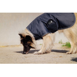 Coperta per cane Equithème TYREX 600D Blu / grigio Coperta per cane Equithème TYREX 600D Blu / grigio