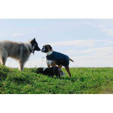 Coperta per cane Equithème TYREX 600D Coperta per cane Equithème TYREX 600D