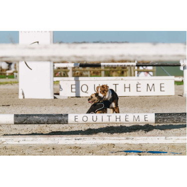 Coperta per cane Ti amo Equithème Coperta per cane Ti amo Equithème