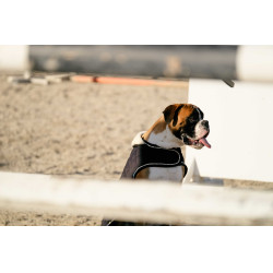 Coperta per cane Ti amo Equithème Coperta per cane Ti amo Equithème