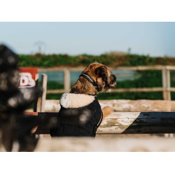 Coperta per cane Ti amo Equithème Coperta per cane Ti amo Equithème