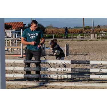 Coperta per cane Ti amo Equithème Coperta per cane Ti amo Equithème