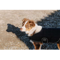 Coperta per cane Ti amo Equithème Nero