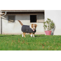 Coperta per cane Ti amo Equithème Coperta per cane Ti amo Equithème