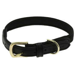 Collare per cane Equithème Nala