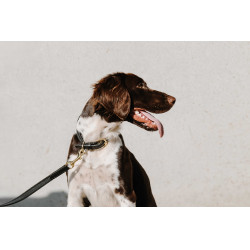 Collare per cane Equithème Nala Nero