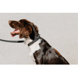 Collare per cane Equithème Nala Nero