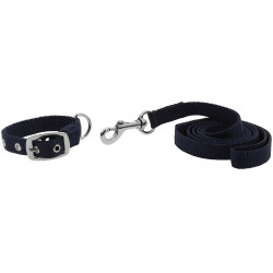 Collare e guinzaglio per cane Riding World Oscar Marina Blu marino