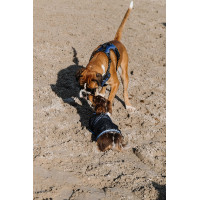 Coperta per cane Equithème Eco 600D