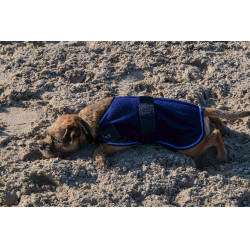 Camicia in pile per cane Equithème Marina Blu marino