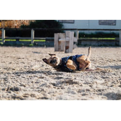Camicia in pile per cane Equithème Marina Blu marino