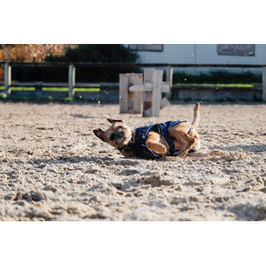Camicia in pile per cane Equithème Camicia in pile per cane Equithème