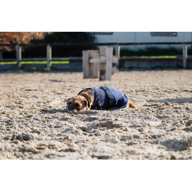 Camicia in pile per cane Equithème Camicia in pile per cane Equithème
