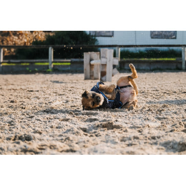 Camicia in pile per cane Equithème Camicia in pile per cane Equithème