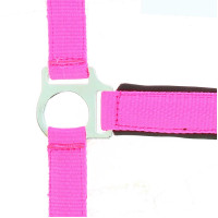 Capezza Norton Fluo foderato Blu Capezza Norton Fluo foderato Blu