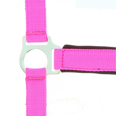 Capezza Norton Fluo foderato Rosa Capezza Norton Fluo foderato Rosa