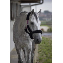 Cavezza Norton in montone sintetico Fucsia / nero Rosa