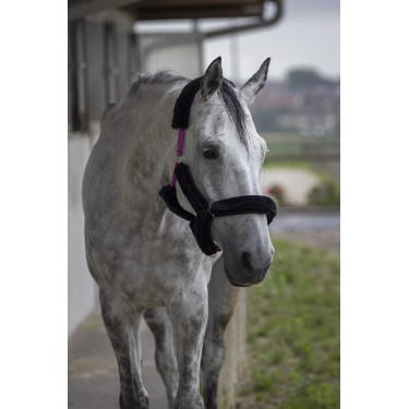 Cavezza Norton in montone sintetico Fucsia / nero Rosa
